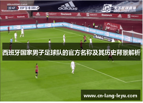 西班牙国家男子足球队的官方名称及其历史背景解析