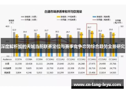 深度解析加的夫城当前联赛定位与赛季竞争态势综合趋势全景研究