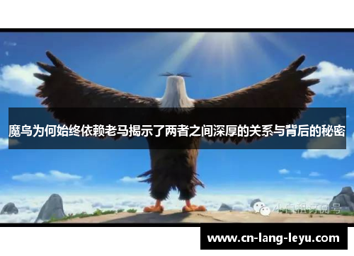 魔鸟为何始终依赖老马揭示了两者之间深厚的关系与背后的秘密